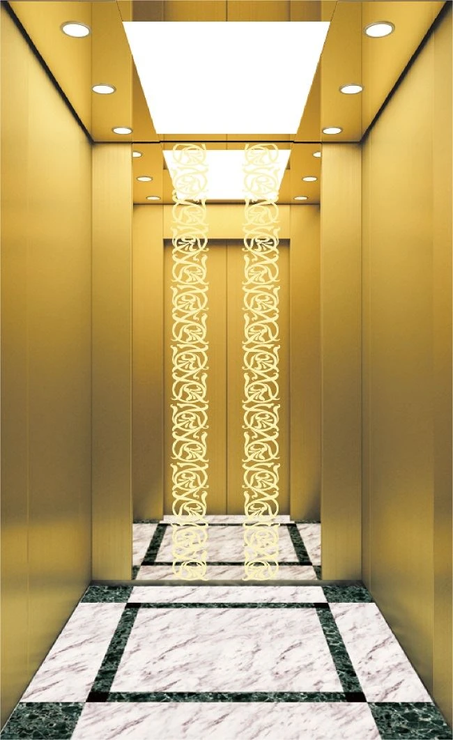 Residential Home Elevators